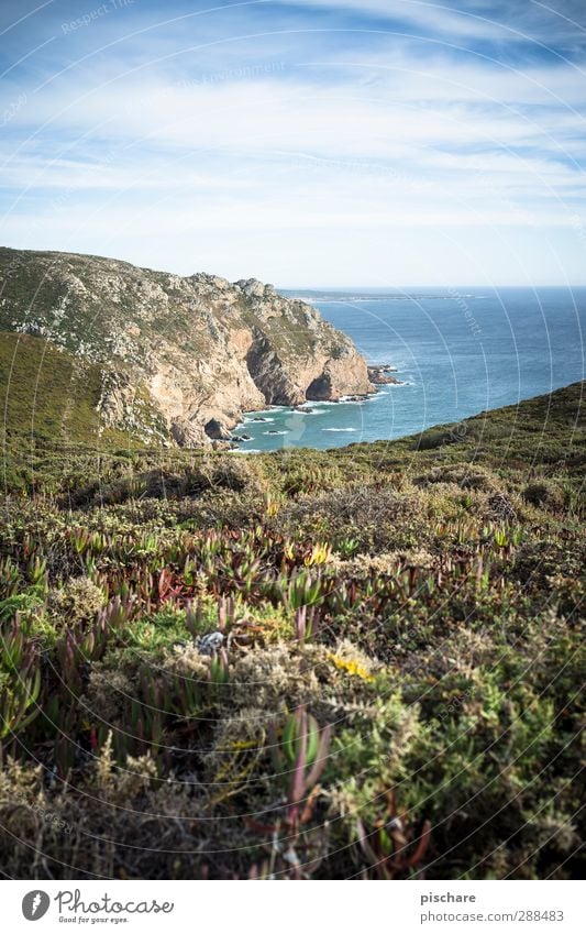 Portugal Nature Landscape Beautiful weather Bushes Hill Coast Ocean Exotic Far-off places Colour photo Exterior shot Panorama (View)