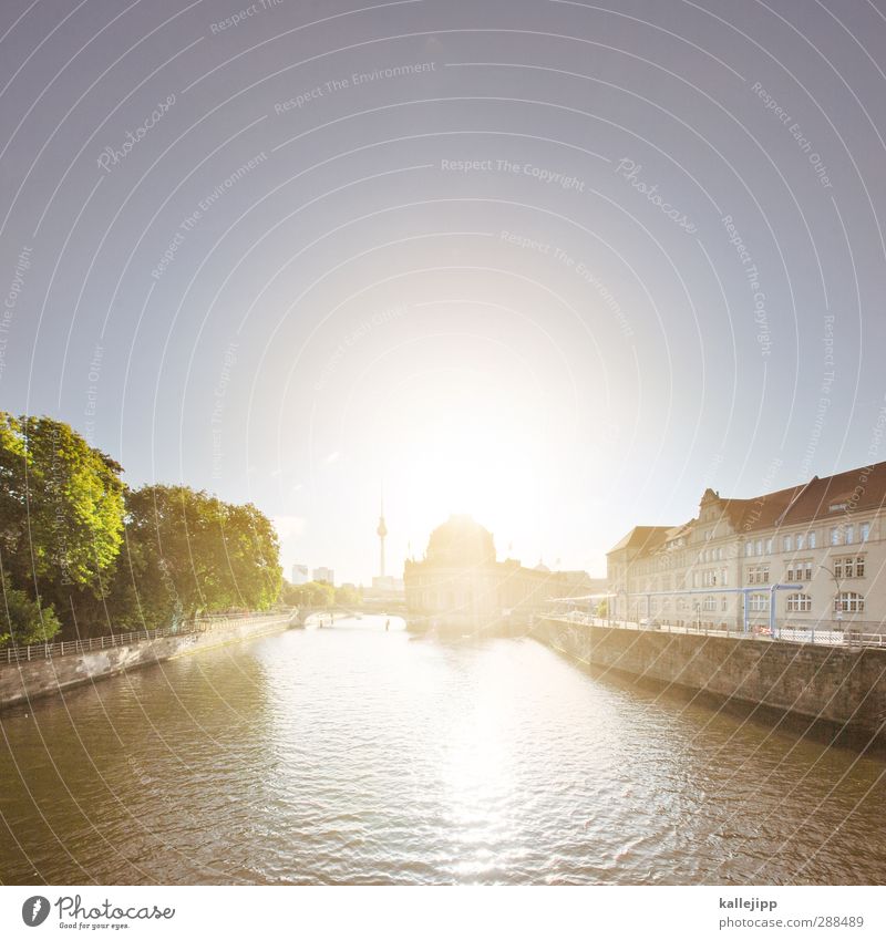 the old lady Cloudless sky Beautiful weather Plant Tree Town Capital city Dome Tower Manmade structures Building Architecture Friendliness Culture Museum island