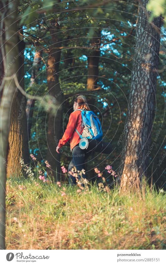 Woman hiker with backpack in forest during summer trip Lifestyle Beautiful Relaxation Leisure and hobbies Vacation & Travel Adventure Freedom Summer Hiking