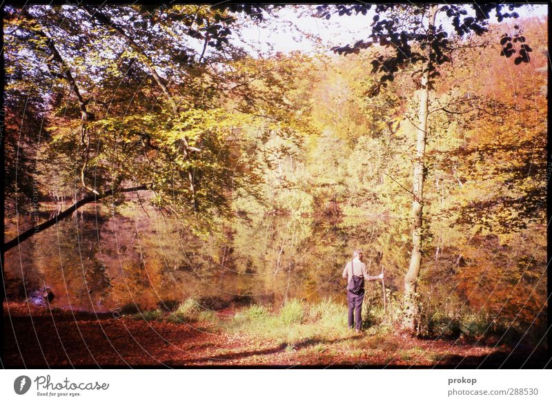 Autumn picture with hiker Human being Masculine Young man Youth (Young adults) Man Adults Life Environment Nature Landscape Plant Water Sky Sun Tree Leaf Forest