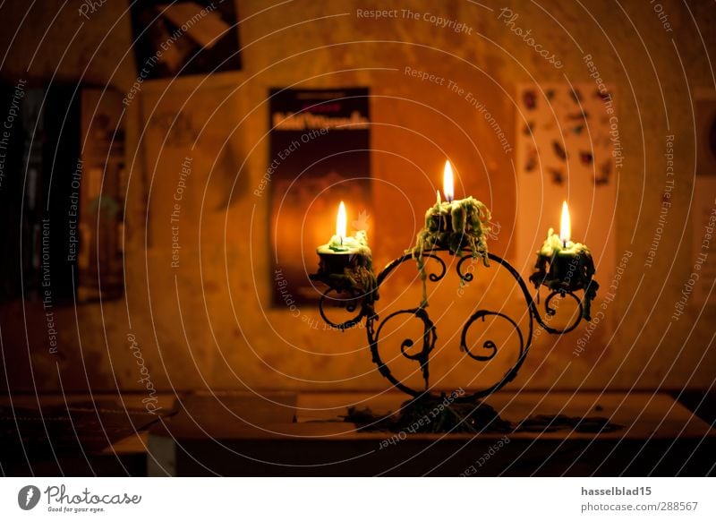 ignition candles Lifestyle Luxury Senses Relaxation Leisure and hobbies Handcrafts Entertainment Art Listen to music Book Reading Hut Industrial plant Church