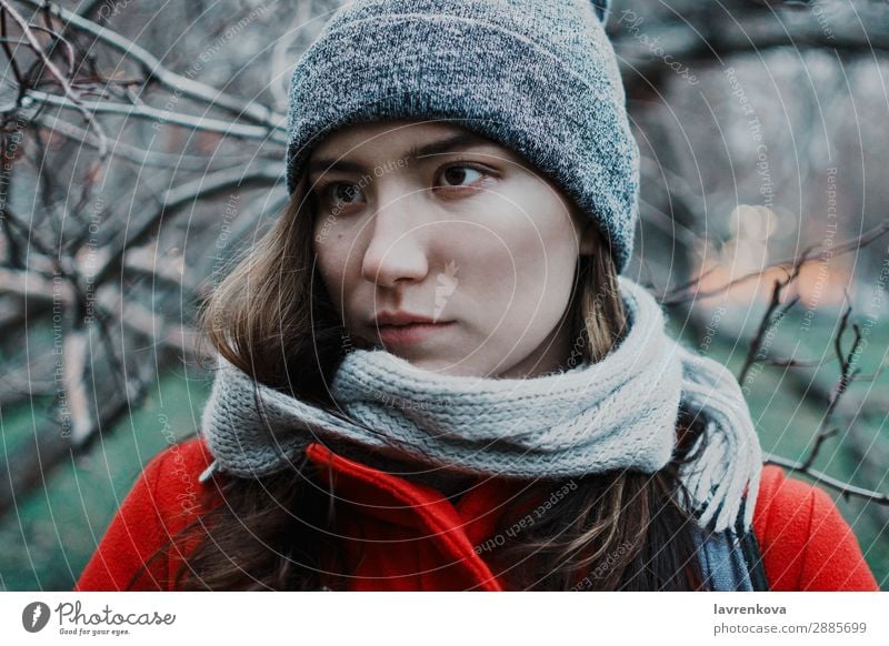 portrait of young adult female in the branches of trees Adults Autumn Beautiful Blue Branch Cold Dark Face Autumnal weather Woman Young woman Hair Horizontal