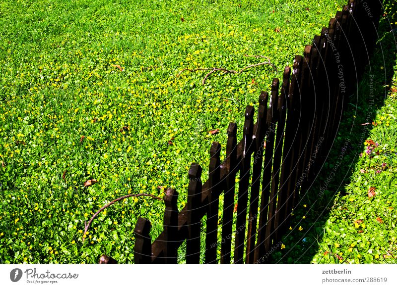 picket fence Living or residing Flat (apartment) Dream house Garden Environment Nature Landscape Summer Climate Climate change Weather Beautiful weather Grass