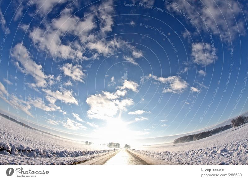 Way to the sun Nature Landscape Sky Clouds Sun Sunlight Winter Beautiful weather Snow Plant Tree Field Transport Traffic infrastructure Street Illuminate Blue