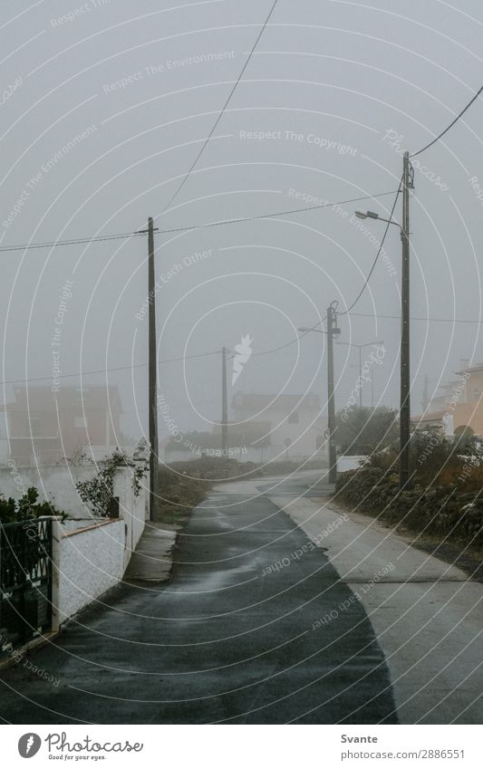 Foggy road in Ericeira, Portugal Environment Rain ericeira Wet Moody Foggy landscape Street Asphalt Mysterious Town Bad weather Colour photo Deserted Morning