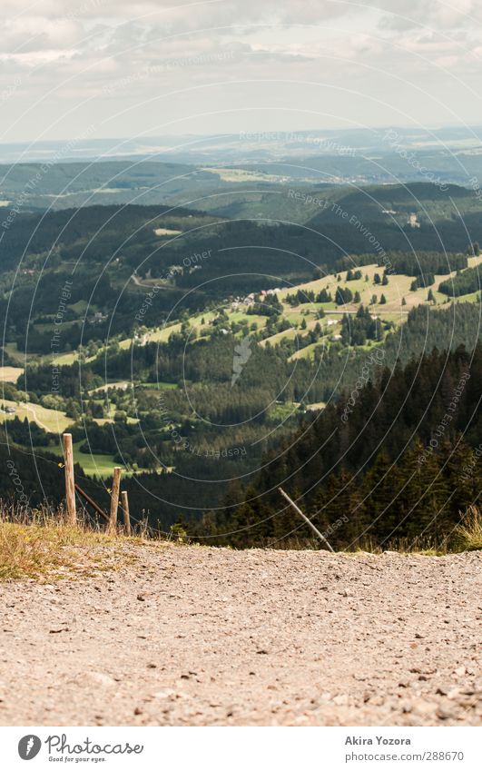 Far, far away... Nature Landscape Grass Blue Gray Green Lanes & trails Forest Mountain Colour photo Exterior shot Deserted Copy Space left Copy Space right