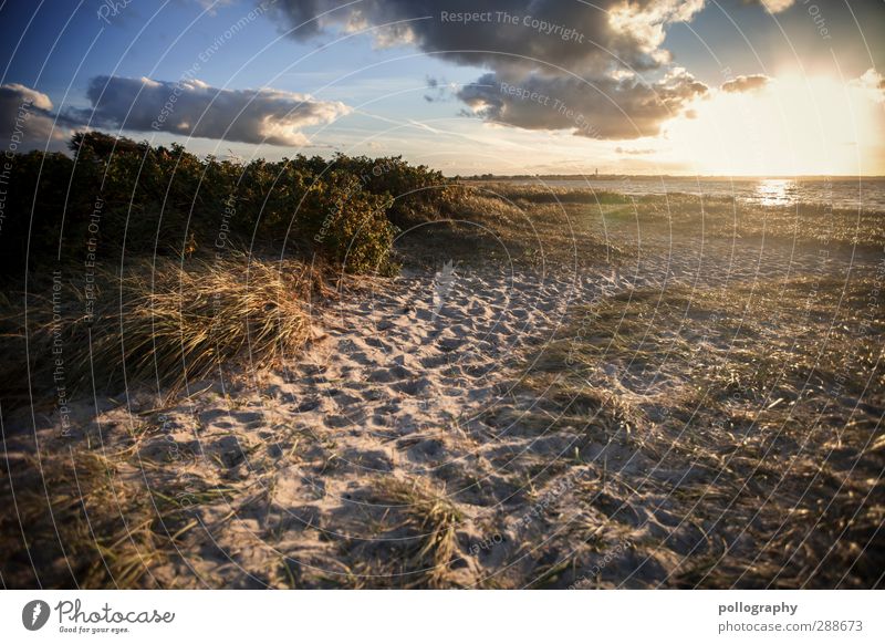 relaxing area Vacation & Travel Tourism Far-off places Freedom Summer vacation Beach Ocean Environment Nature Landscape Plant Earth Sand Sky Clouds Horizon