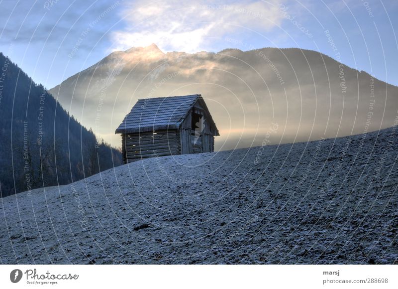 Today it's bitterly cold hay barnyard Barn Agriculture Forestry Nature Landscape Air Sky Cloudless sky Sunrise Sunset Sunlight Spring Autumn Winter