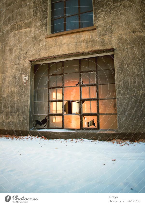 windows Winter Snow Industrial plant Manmade structures Window Lattice window Illuminate Old Authentic Broken Original Town Crisis Destruction Facade