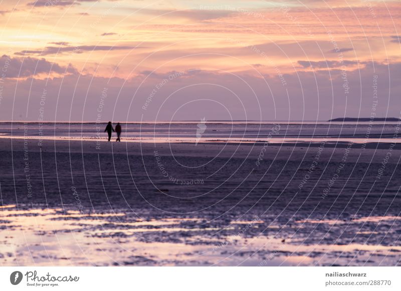 two Human being Friendship Couple Partner 2 Nature Weather Coast Beach Ocean Relaxation Hiking Far-off places Free Together Natural Positive Beautiful Gold