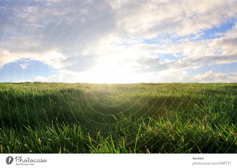 Dike | Meadow at the North Sea with sunlight | Sky Vacation & Travel Freedom Nature Landscape Clouds Horizon Sun Sunrise Sunset Sunlight Spring Summer Autumn