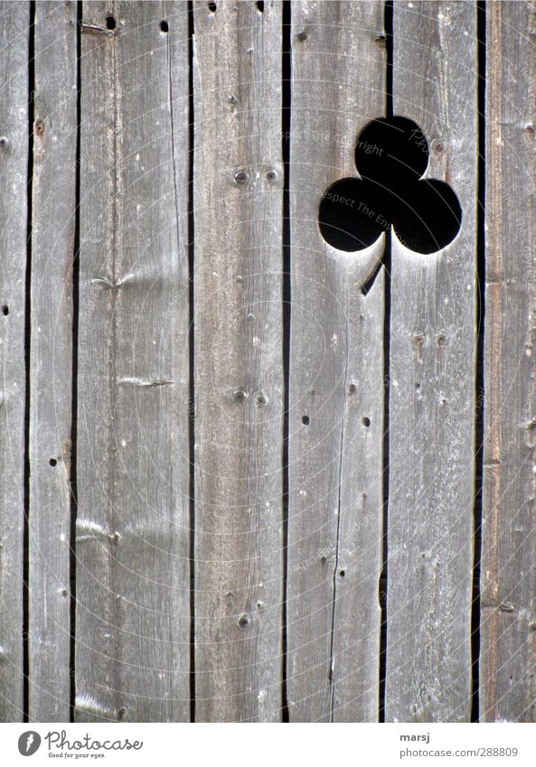 wood clover Wooden board Wooden wall Museum Hut Barn Facade Sign Ornament Old Simple Elegant Brown Black Weathered Cloverleaf Colour photo Subdued colour