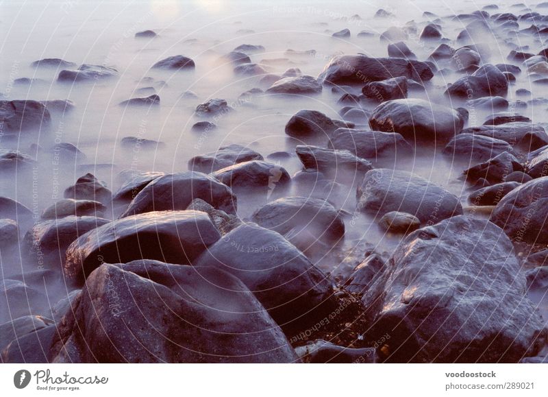 musty rocky shoreline Relaxation Meditation Beach Ocean Water Weather Bad weather Fog Rock Stone Dark Wet Natural Moody Loneliness Dank cold smooth coastal