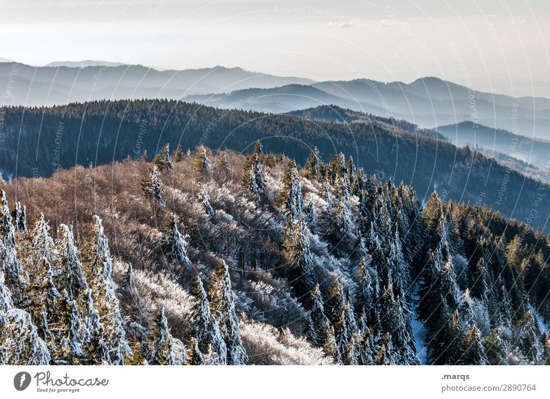 mountain Tourism Nature Landscape Elements Cloudless sky Winter Beautiful weather Forest Mountain Highlands Kandel Horizon Relaxation Moody Colour photo