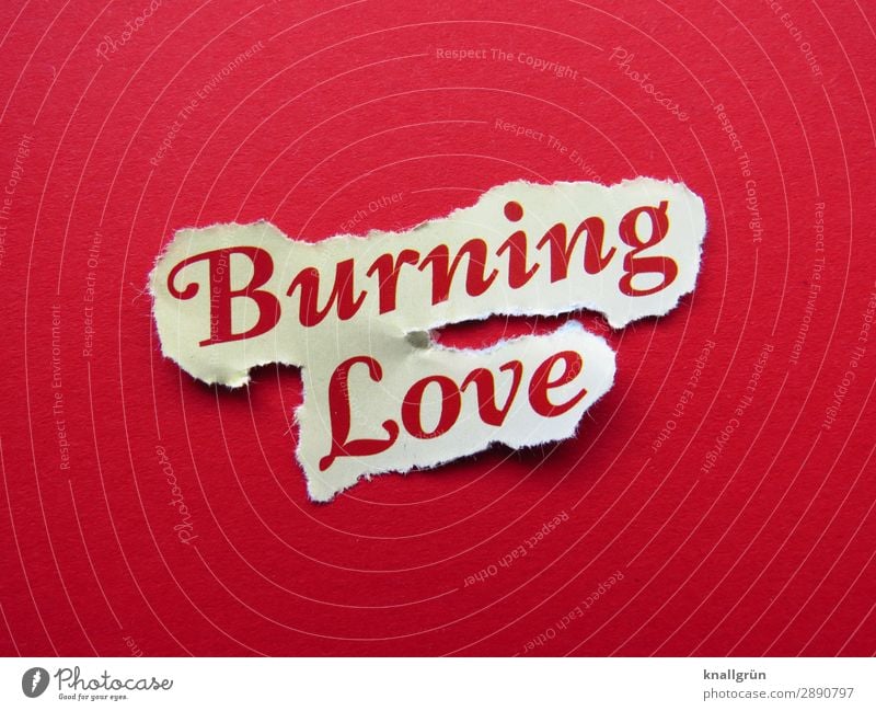 burning love Characters Signs and labeling Communicate Together Red White Emotions Happy Joie de vivre (Vitality) Euphoria Love Infatuation Desire Lust Sex Life