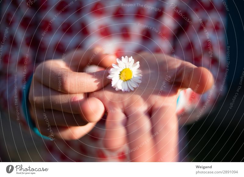 flower child Well-being Contentment Mother's Day Birthday Baptism Girl Brothers and sisters Infancy 1 Human being Observe Enthusiasm Friendship Love Obedient