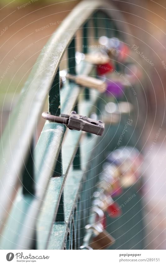 old iron does not rust Autumn Park Bridge Bridge railing Passenger traffic Steel Sign Line Stripe Lock Key Old Hang Sharp-edged Emotions Moody Happy