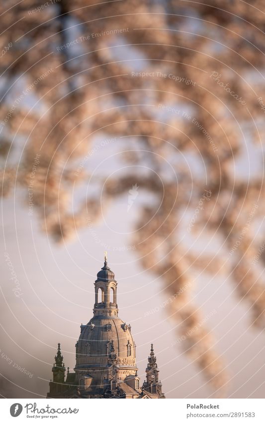 #A# Dresden Flower VII Art Esthetic Saxony Germany Domed roof Historic Historic Buildings Old town Elbufer Cherry blossom Spring Spring day Blossoming