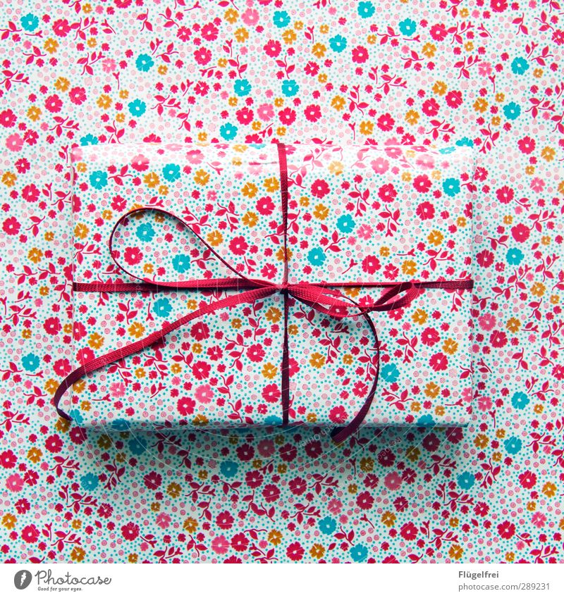 Hide Gifts Bow Anticipation Camouflage disguised Hiding place Packaging Christmas & Advent Feasts & Celebrations Red Flowery pattern Invisible Chameleon