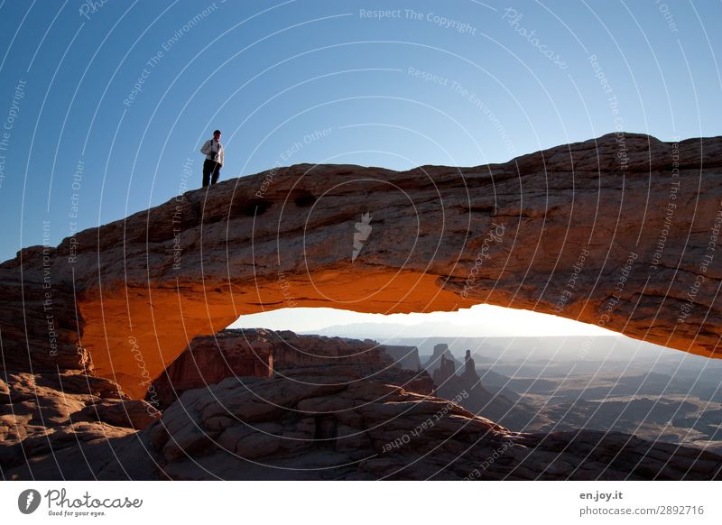 Dangerous Vacation & Travel Adventure Summer vacation Woman Adults 1 Human being Nature Landscape Sky Cloudless sky Beautiful weather Rock Canyon Stand