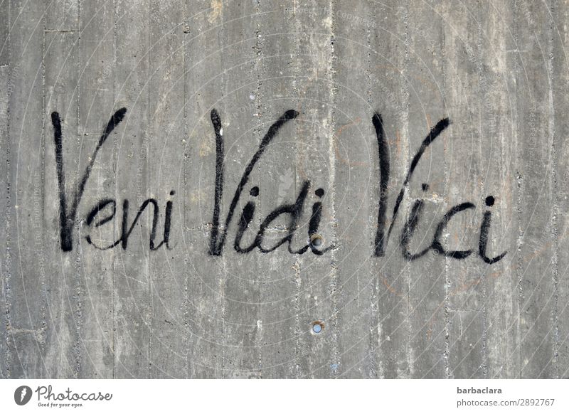 Veni, vidi, vici, mind games. Work of art Wall (barrier) Wall (building) Facade Concrete Sign Characters Graffiti Think Write Gray Black Emotions Creativity