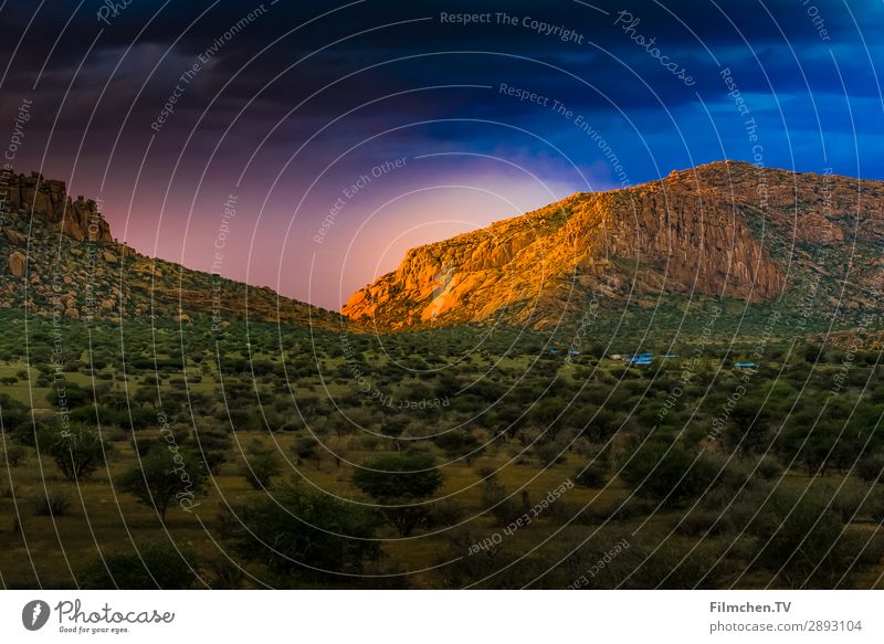 Sunset Namibia Nature Landscape Animal Sky Horizon Sunrise Natural Beautiful Adventure Africa Erongo Mountains Omandumbo Farm travel Colour photo Exterior shot