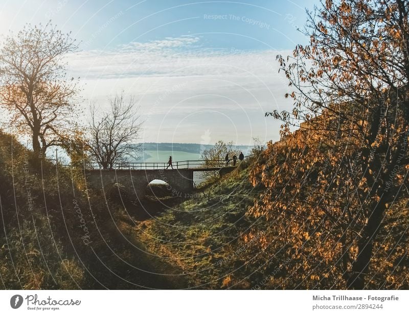 Small bridge in the autumn landscape Tourism Trip Nature Landscape Sky Clouds Sun Sunlight Autumn Beautiful weather Tree Leaf Hill Castle Bridge Going