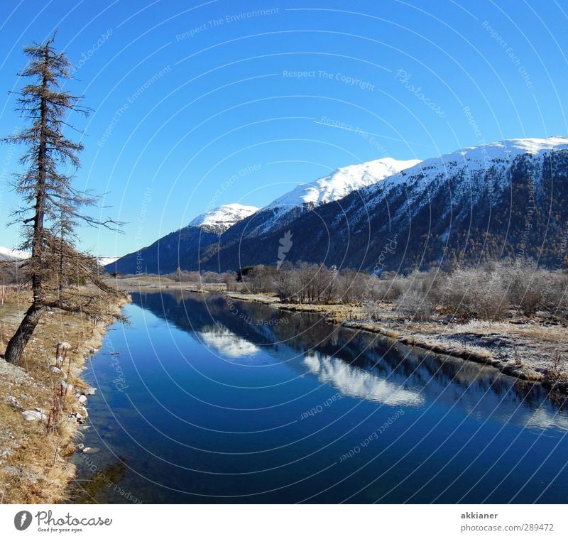 water mirroring Environment Nature Landscape Plant Sky Cloudless sky Winter Tree Rock Mountain Peak Snowcapped peak Coast River bank Fjord Lake Brook Bright