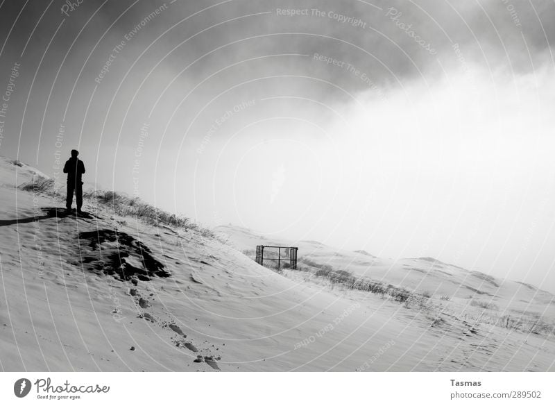 End of the world | NOW Human being Masculine 2 Landscape Sky Clouds Alps Mountain Peak Snowcapped peak Truth Fear Disbelief Surrealism Apocalypse