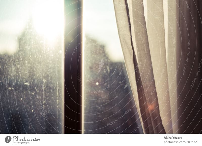 Good bye Summer Window Sun Sunlight Back-light Silhouette Drape Curtain