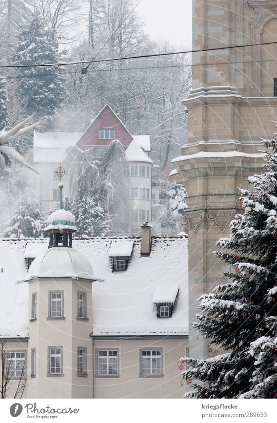 The dream of a white Christmas Winter Ice Frost Snow Flower Small Town Downtown Old town Deserted House (Residential Structure) Church Dome Tower Building