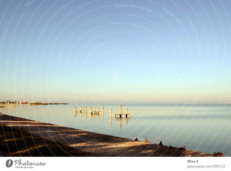 Merry Christmas ;-) Vacation & Travel Summer Summer vacation Beach Cloudless sky Coast Ocean Blue Moody Calm Relaxation Swimming lake Colour photo Multicoloured