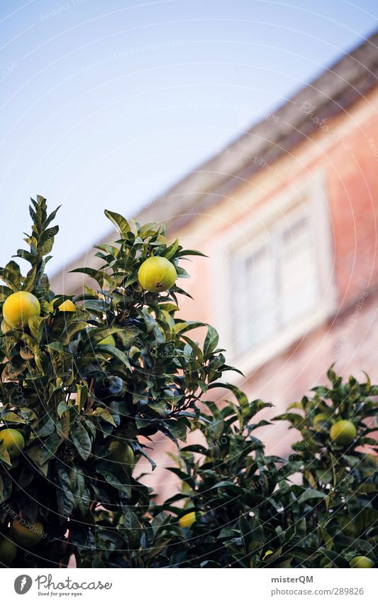 Neighbor fruit. Art Esthetic Mediterranean House (Residential Structure) Car Window Garden Lemon Portugal Vacation & Travel Vacation photo Vacation mood Green