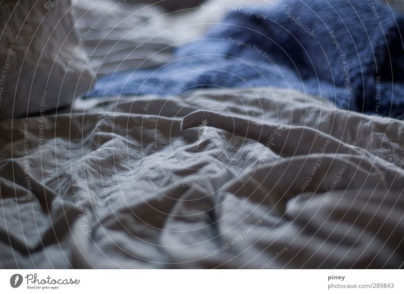 sleep Waves Living or residing Bed Room Sleep Blue Gray Serene Calm Dream sleepy tired Duvet Blanket Subdued colour Interior shot Close-up Detail Evening