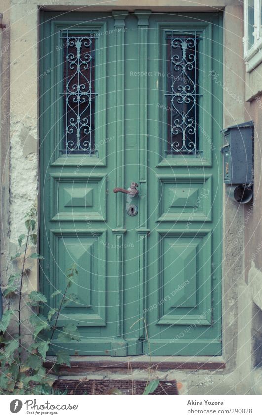 Bye, 2012! Plant Door Mailbox Old Gloomy Green Entrance Closed Old fashioned Colour photo Exterior shot Copy Space left Copy Space right Copy Space top