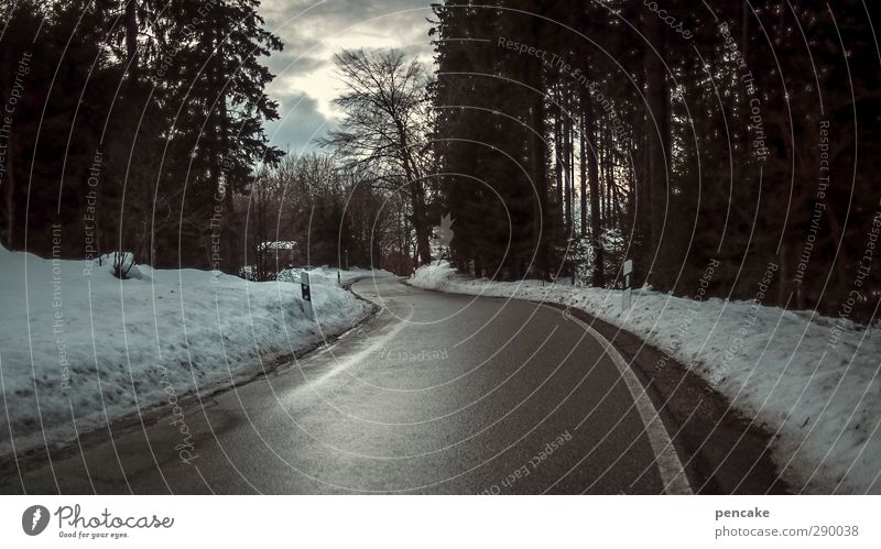 to the unknown land Nature Landscape Clouds Climate Snow Street Judicious Future Lanes & trails Anonymous Colour photo Subdued colour Exterior shot Deserted