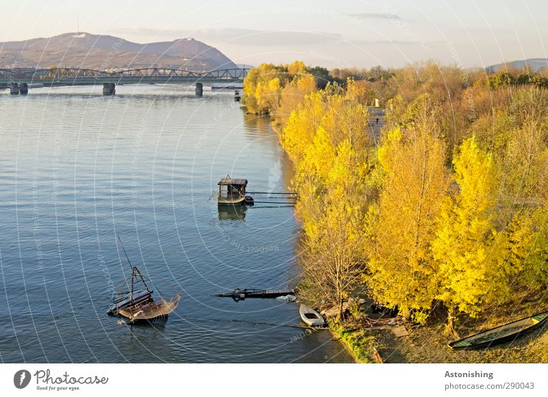 on the Danube Environment Nature Landscape Plant Water Sky Clouds Horizon Weather Beautiful weather Tree Bushes Park Forest Hill Mountain Waves River bank