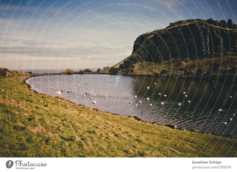 Pond observation I Environment Nature Landscape Sky Lakeside Fantastic Mountain Hill Coast Grass Duck Duck pond Exterior shot Hiking Scotland Edinburgh Idyll