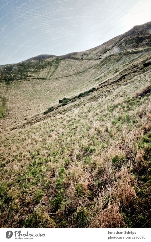 Arthur's Seat I Environment Nature Landscape Grass Hill Mountain Peak Tall Edinburgh Scotland Dreary Go up Hiking Exterior shot To board Target Upward Slope