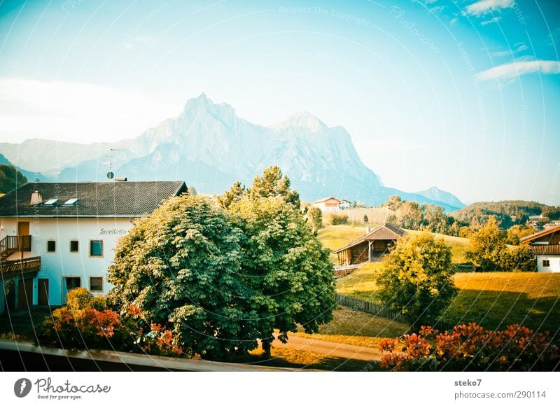 Heimatfilm background Sky Summer Beautiful weather Tree Meadow Alps Mountain Village Detached house Balcony Retro Blue Green Idyll Tourism Vacation & Travel