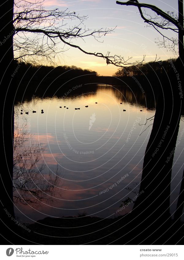 rest Sunset Winter Lake Calm Cold Reflection Berlin