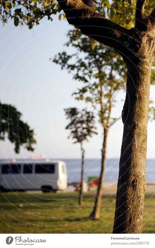 Next stop, Istanbul. Nature Relaxation Experience Stagnating Van Bus Around-the-world trip Travel photography Vacation & Travel Ocean Beach Promenade Sun