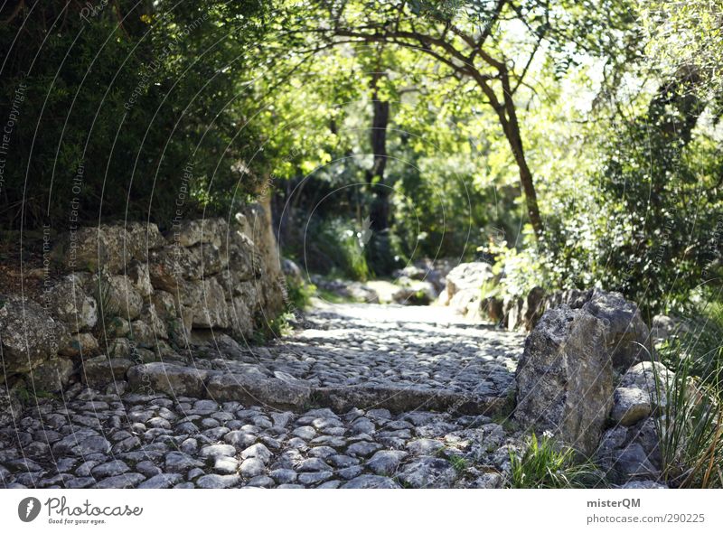 On Old Paths. Nature Esthetic Hiking Lanes & trails Clearing Wayside Mediterranean Pilgrim Stone Exterior shot Spain Majorca Wall (barrier) Dreamily Surrealism