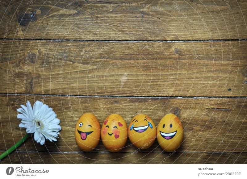 egg family Egg Easter egg Painted Art Tradition Feasts & Celebrations Smiley Laughter Joke Humor Funny Joy Face Clique Absurdity Wood Flower Spring