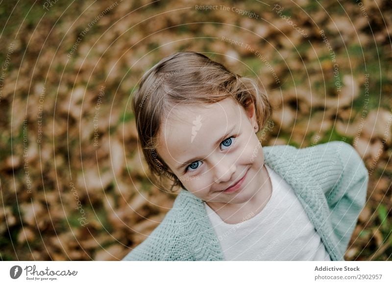 Smiling girl between meadow with dry leaves Girl Meadow Leaf Dry Child Positive Field Nature Beautiful Woman Infancy Freedom Park Happiness Joy Lifestyle Rural