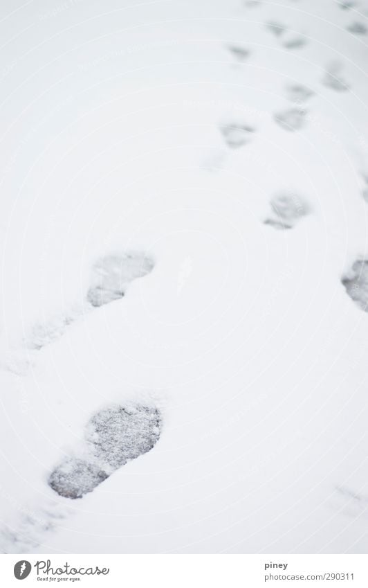 follow Winter Snow Snowfall Cold Gray White footprint lead shoe driveway Colour photo Subdued colour Close-up Deserted Shallow depth of field