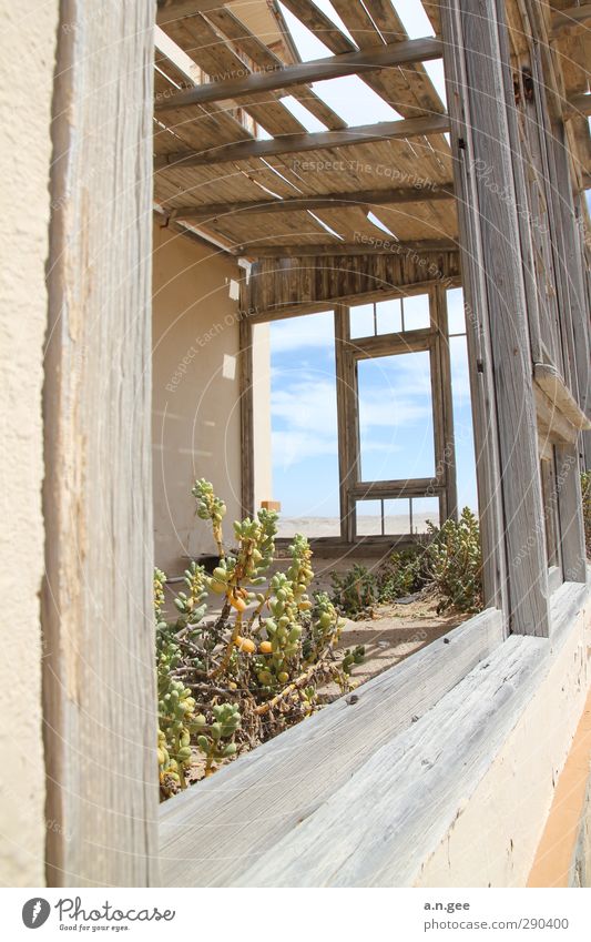 Old Villa colummanscope Kolmannskuppe Luderitz Namibia Africa Deserted House (Residential Structure) Ruin Window Loneliness Nature Far-off places Open Wood