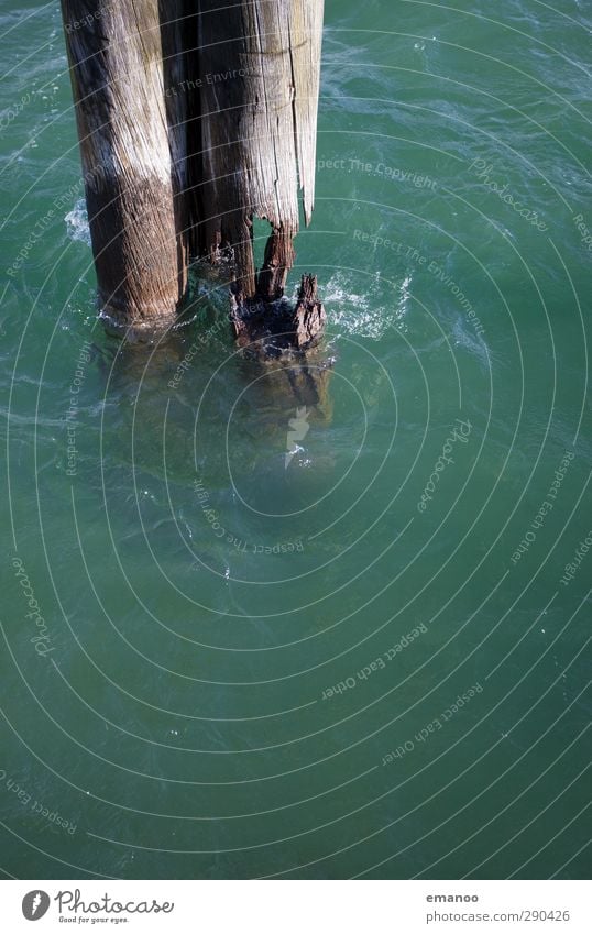 Water fang of time Nature Climate Storm Wind Gale Tree Waves Coast Lakeside Ocean Old Broken Green Pole Navigation mark Harbour Drop anchor Ravages of time