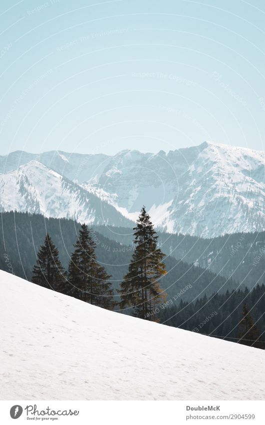 Alpine landscape with snow, firs and mountains Trip Far-off places Freedom Mountain Hiking Nature Landscape Air Sky Cloudless sky Beautiful weather Alps Peak