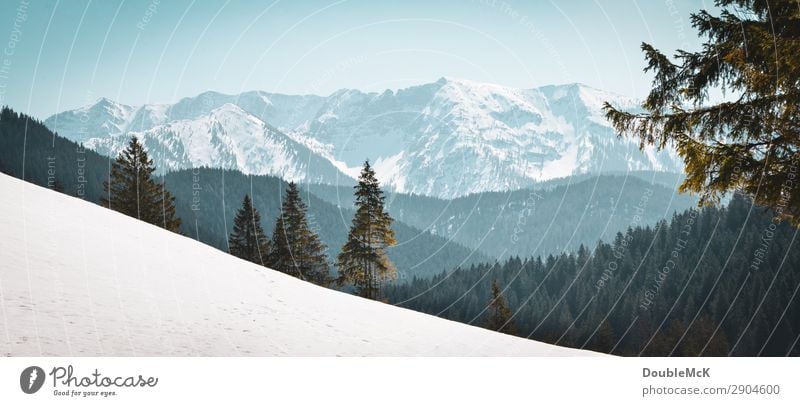 Alpine landscape with fir trees, snow and mountains Trip Far-off places Freedom Mountain Hiking Nature Landscape Air Sky Cloudless sky Beautiful weather Alps